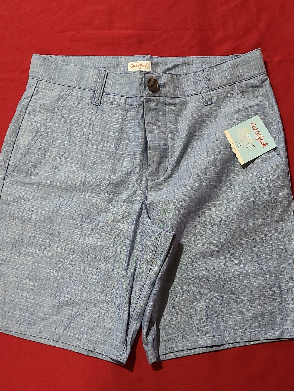 Cat & Jack Light Blue Boys' Flat-Front Shorts